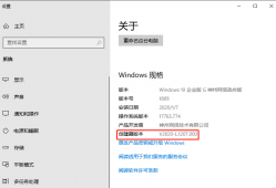 如何查看 Windows 10 神州网信政府版的版本信息
