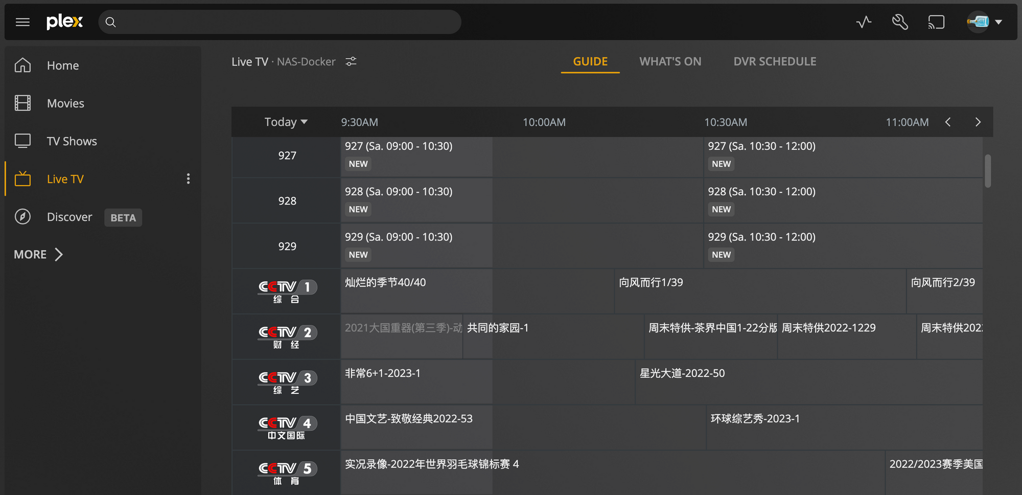 Plex + xTeVe 加载 IPTV 直播 - 自建多媒体平台 第6张 Plex + xTeVe 加载 IPTV 直播 - 自建多媒体平台 第6张